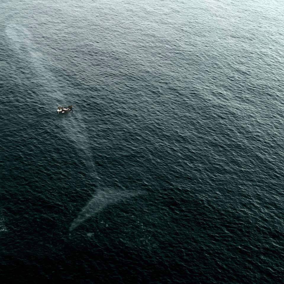 Earth Touch tweet media