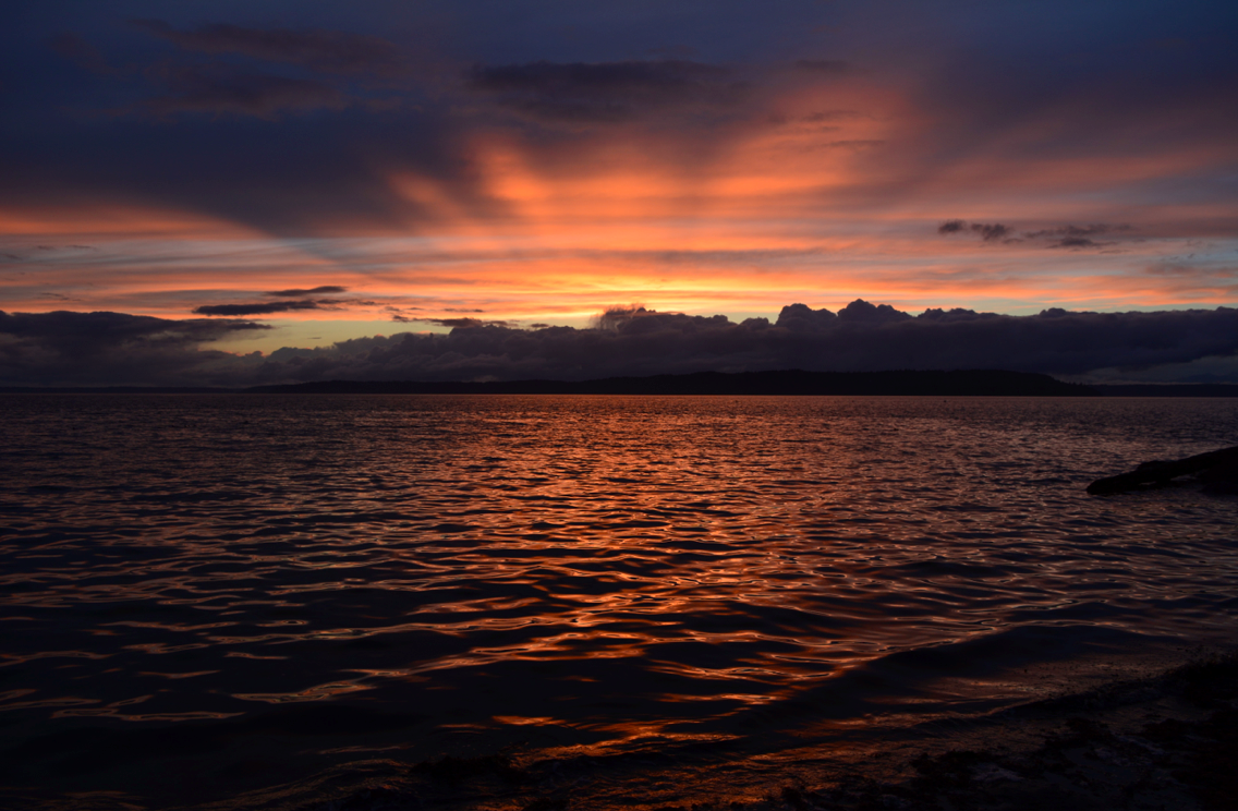 Last ones to leave #Saltwaterstatepark <a href="/WAStatePks/">Washington State Parks & Recreation Commission</a> to catch in the sun's color show yesterday evening
