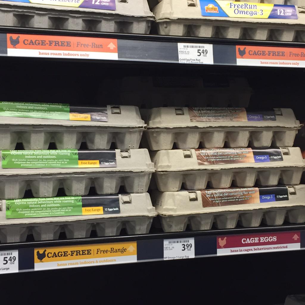 urbanfarm_girl's tweet image. Did you know @saveonfoods labels their eggs by how the chickens are cared for? #informedpurchase #freerange #freerun
