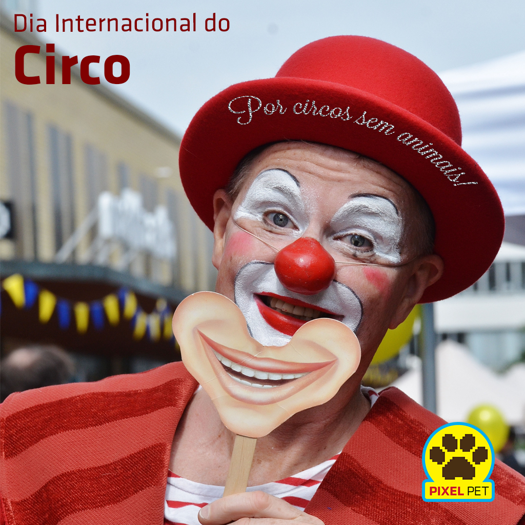 PetPixel's tweet photo. Circo legal não tem animal! #diadocirco #circosemanimal #pixelpet http://t.co/6VSq9No7Sh