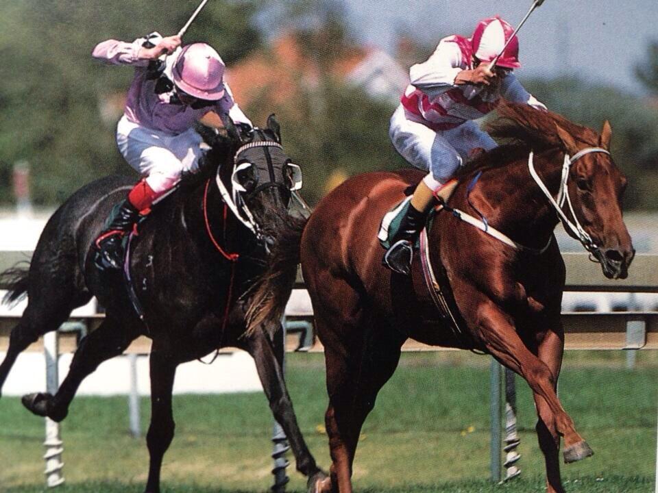 PhillipRoost's tweet image. @FirstLight_FLR @MoodyRacing One of the greatest 2yo's #Zeditave