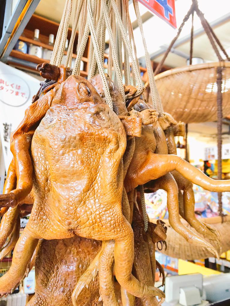 Hero4 21 Instagram Post Carousel カエルポーチ カエル財布