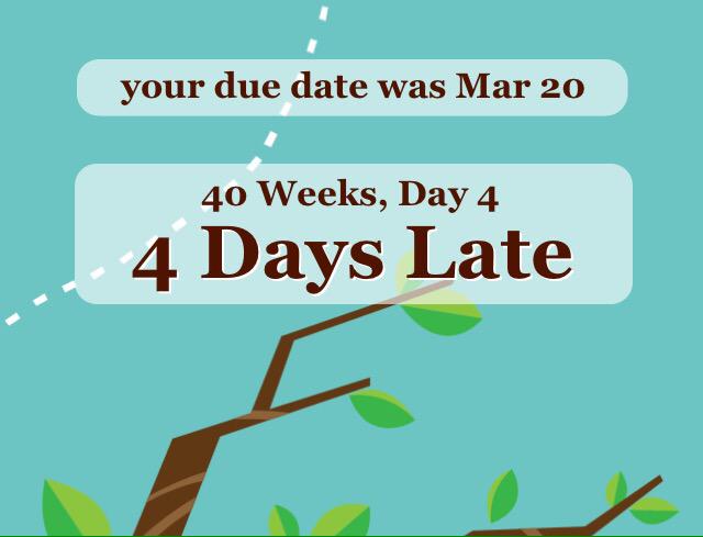 TryingNot's tweet image. Being overdue is making me freak out about being a parent. #PregnancyProblems