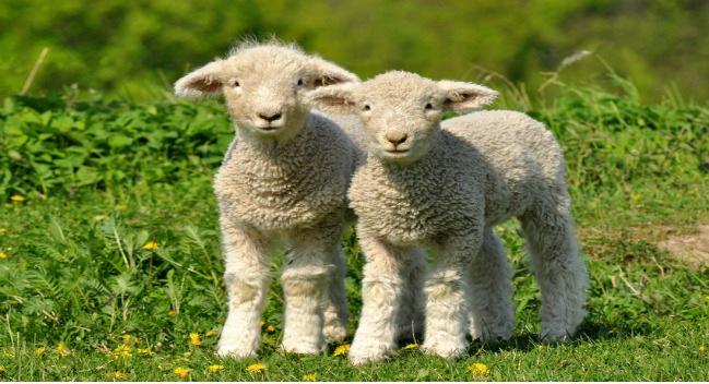 The latest newsletter for Mumsnet Northumberland local.mumsnet.com/northumberland…