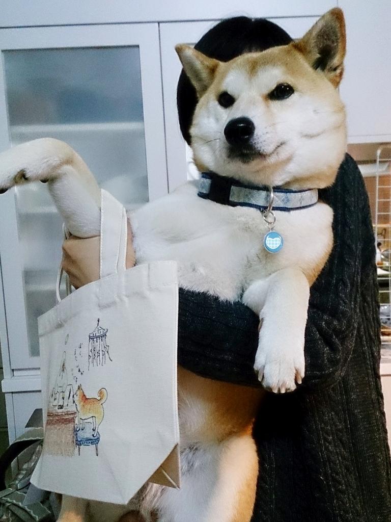 くもといっしょに