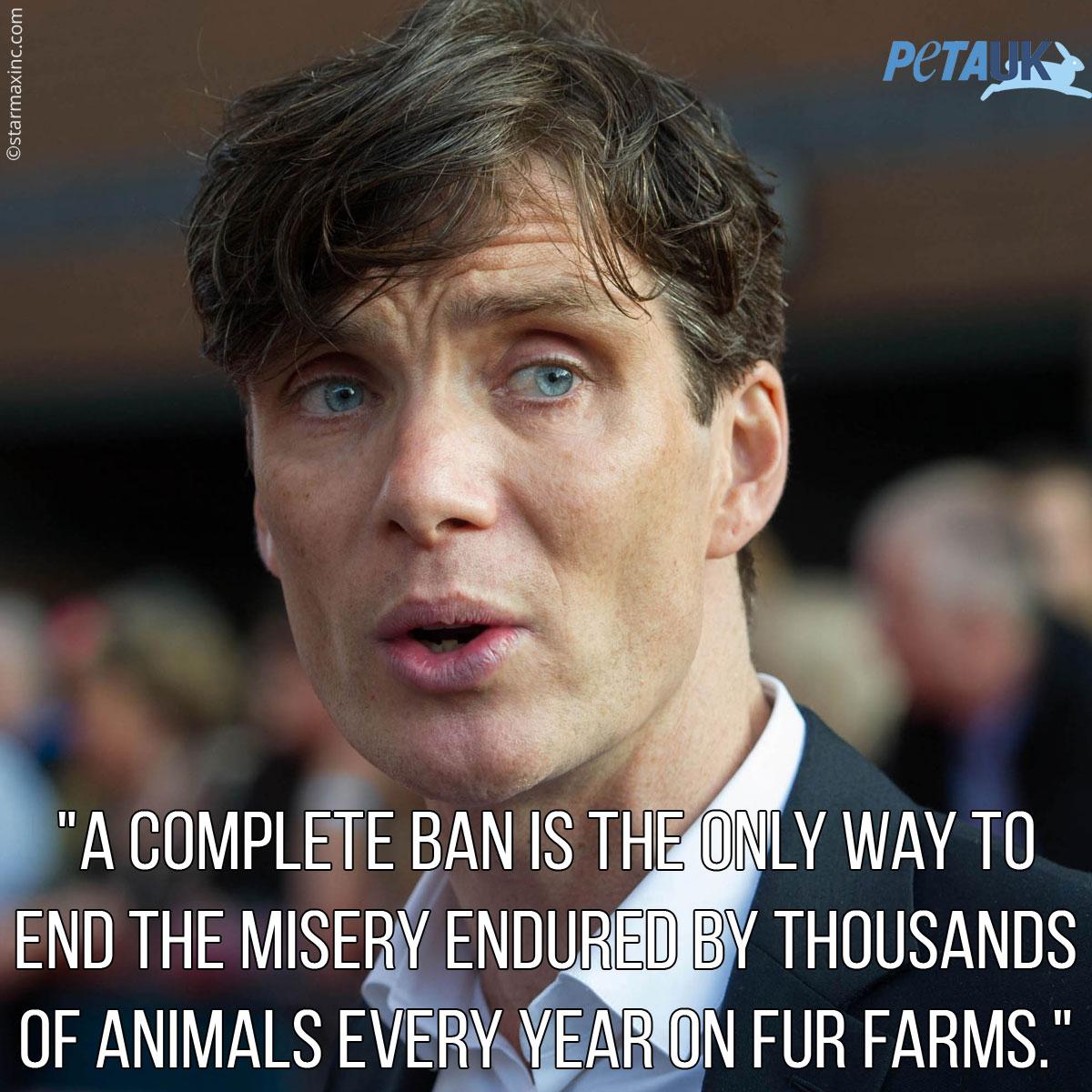 PETAUK's tweet photo. Cillian Murphy is joining the fight to end fur farming in Ireland! http://t.co/iBIDEubngK http://t.co/krbNwUhXgG