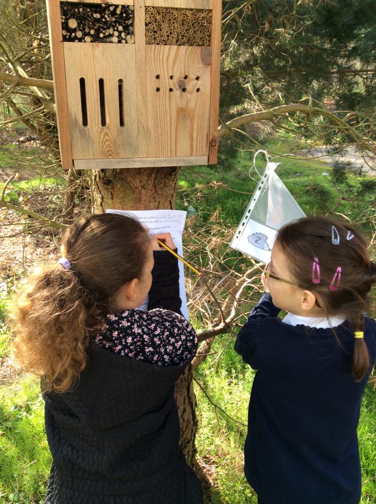 Year 2 tweet media