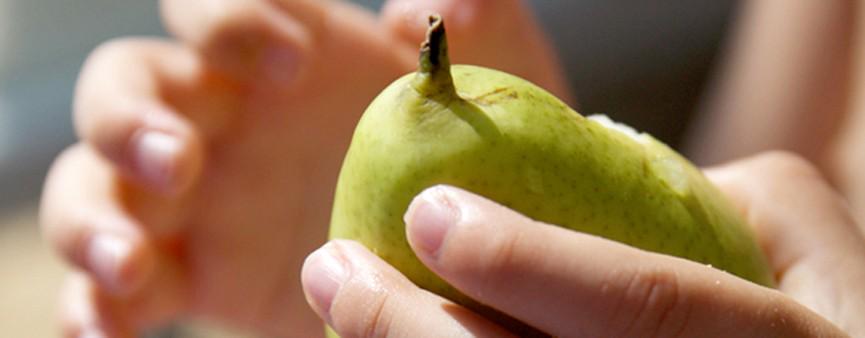 futurpera's tweet photo. #Frutta gratis nelle scuole. L'#UnionEuropea promuove l'abitudine al consumo tra i più piccoli http://t.co/siMY59dqVm http://t.co/2mKI5jDc7c