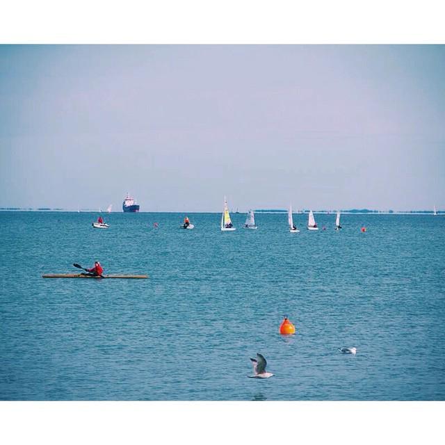 ⛵️⛅️🐠 http://t.co/blYWyrILow http://t.co/A2BmztNfLa<a href="/tag/noshitsherlock"class="tags"><span>#noshitsherlock</span></a><a href="/tag/dumbstockphotos"class="tags"><span>#dumbstockphotos</span></a>