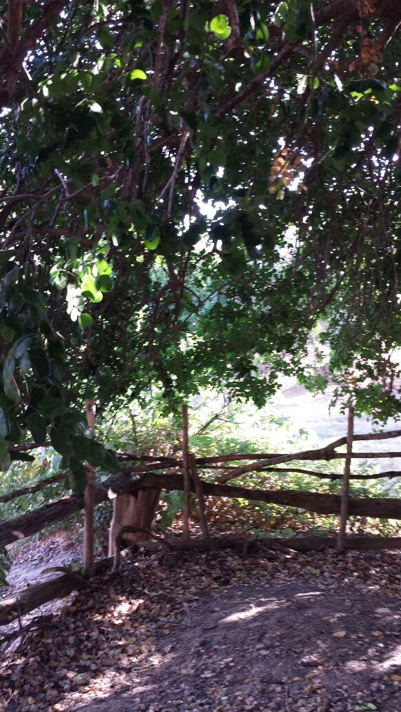 IPistono's tweet photo. #casaleAttiva #magicaCiro' http://t.co/lwFJFTpl64