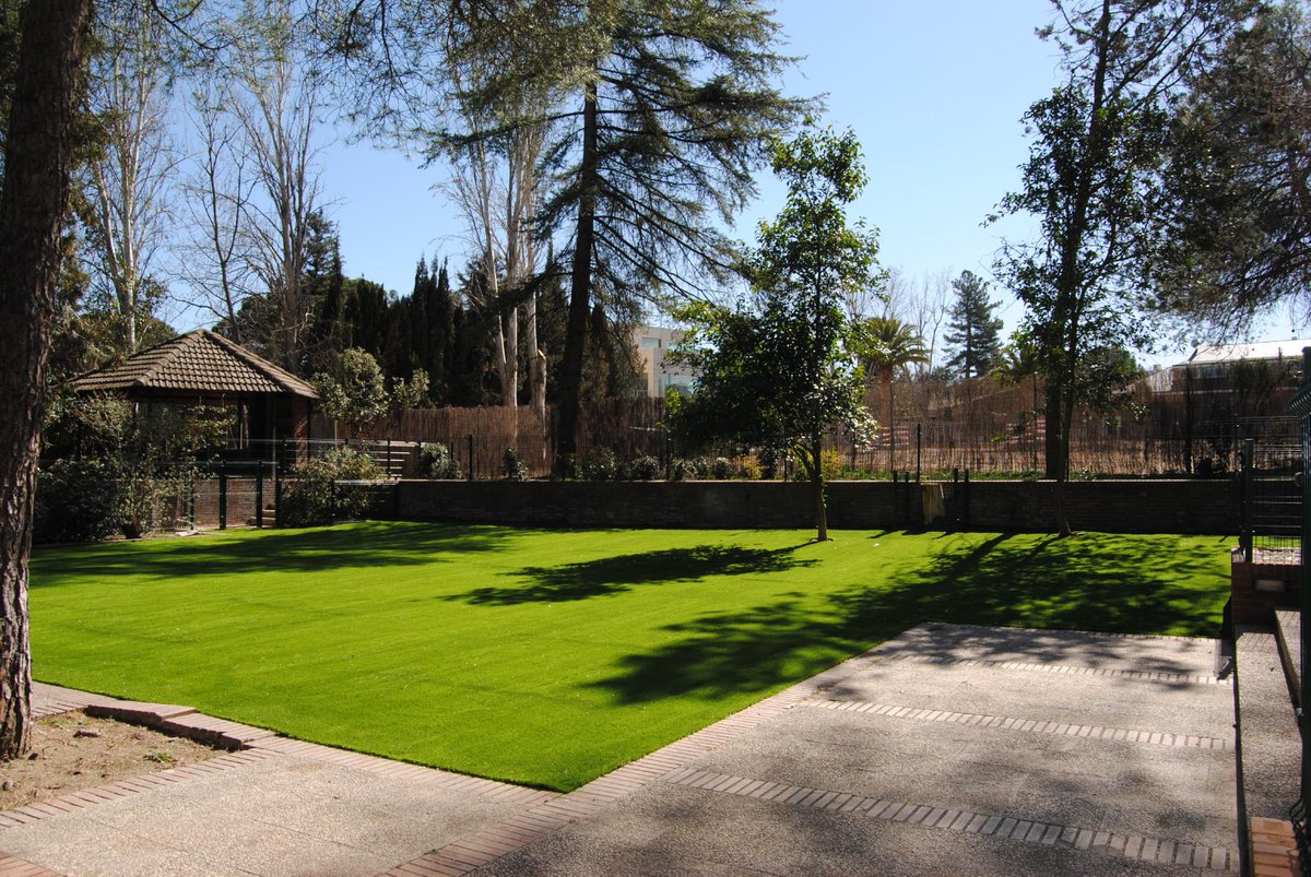 Dallington School tweet media