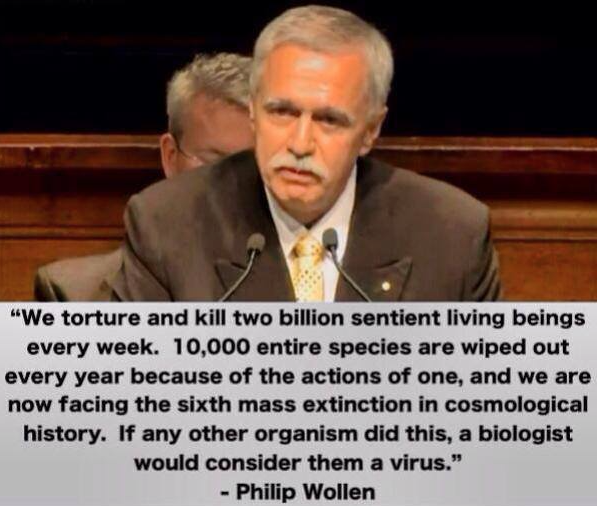 BabWarrior's tweet photo. JUST THINK ABOUT IT! #Farm365 #govegan #vegan #allanimalsmatter #socialjustice #animalrights #rights #education https://t.co/6v2R9brBpm