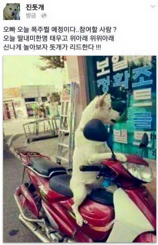ㅋㅋㅋRT <a href="/gimseung/">짐승 태</a>: 돗개 오빠 달려~