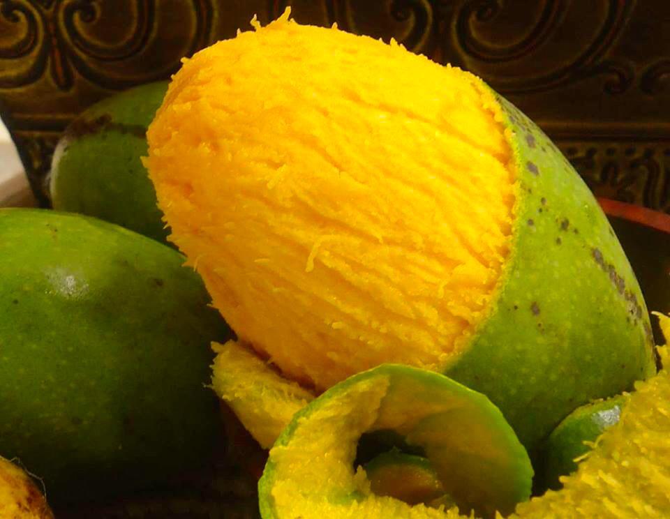 La juteuuuuuuuuzzze lol
C'est quand je suis en présence d'un fruit pareil que je regrette pas d être venu au bled 😋😋