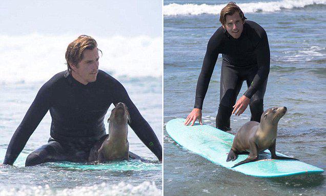 Daily Mail US tweet media