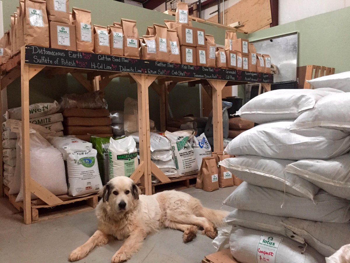 LotusUrbanFarm's tweet photo. Daisy Dog is here to guide you through the endless assortment of amendments and soils we have! Come see us today! http://t.co/D51hu7k2tq