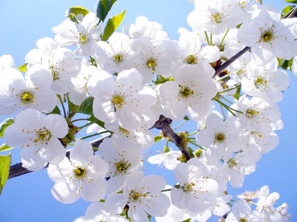 YamilaPlazaG's tweet image. #creatumoda
#fashionladies #MartesDeGanarSeguidores