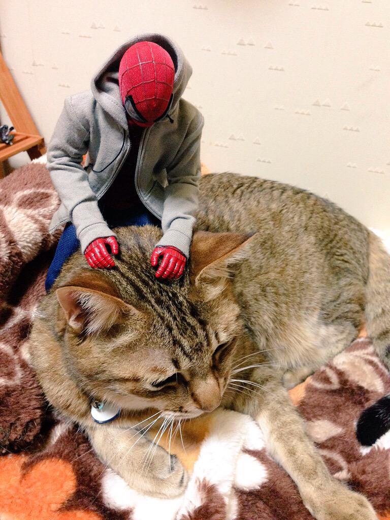 ななこきんちゃん Nanamicchi Twitter ななこきんちゃん Nanamicchi Twitter