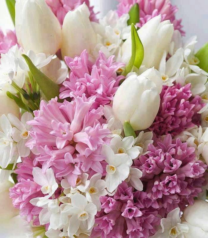 TChaiman's tweet photo. @AreewanOnkoon สวัสดียามเย��นค่ะ http://t.co/QGNGFUNtVq