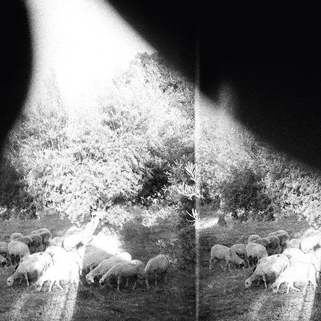 Cabin Fever On Twitter Yes Pitchfork Stream The New Godspeed