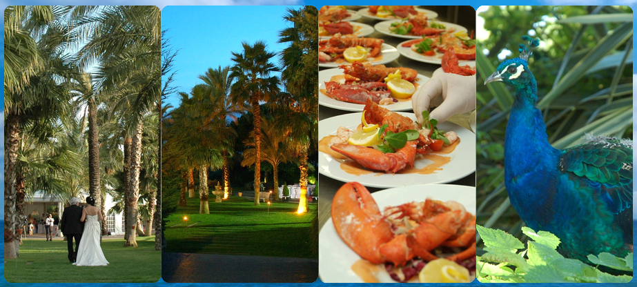 Turo_del_Sol's tweet photo. Si estás buscando dónde celebrar tu boda en Barcelona, Turo del Sol es Ideal!!
 
http://t.co/DwwFsXq31j http://t.co/1kDBYTyswY