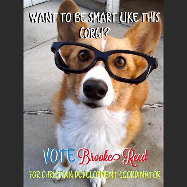 HEY!! One of the coolest friends I know is running for CDC!! No doubt she will do great things for MC!! <a href="/Brooke_4_CDC/">Brooke Reed</a>