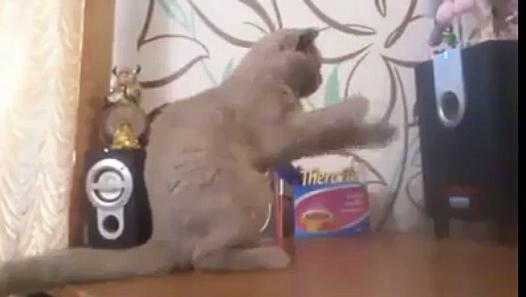 funoncamera's tweet photo. Who Can Loin Open The Car Door #FunnyVideos #FunnyClips #VideoClips #FunnyPictures
Click Link: http://t.co/dPHgihJ3OT http://t.co/4Wyq61Iinn