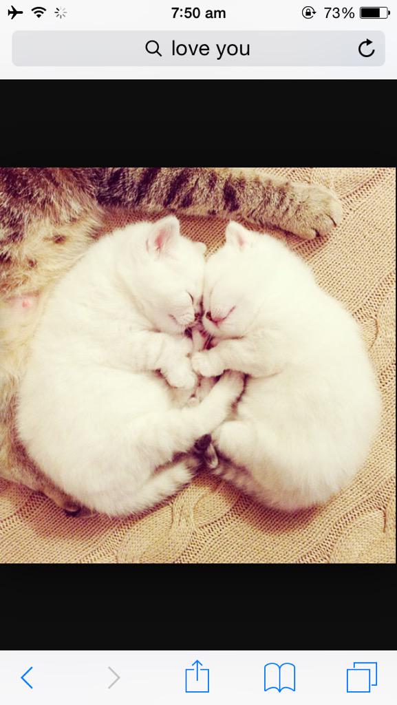 DustinSimpson_'s tweet image. 