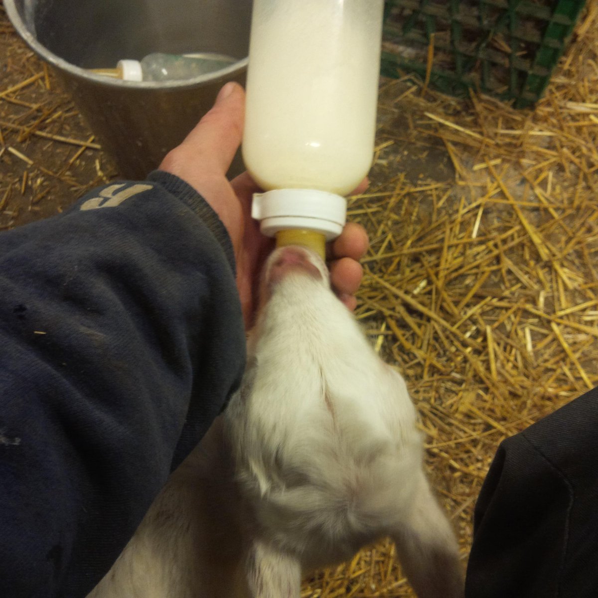 The bulk of my morning... #farm365 #RealDirt