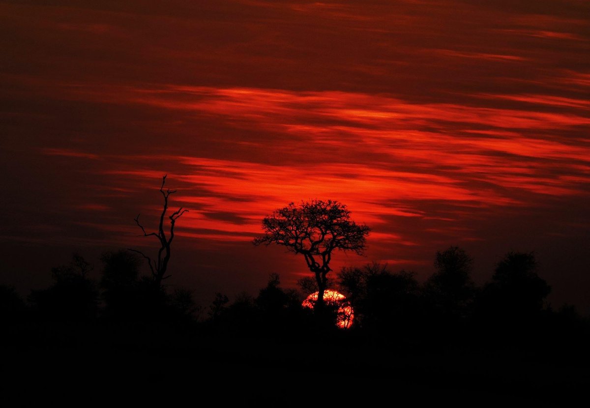 imensofrani's tweet image. i love it