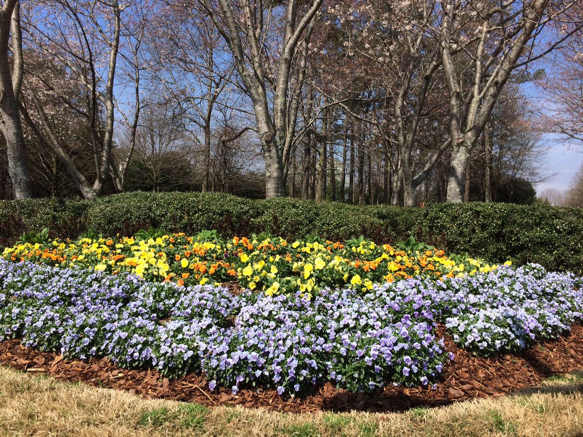 #Spring #landscape #colors