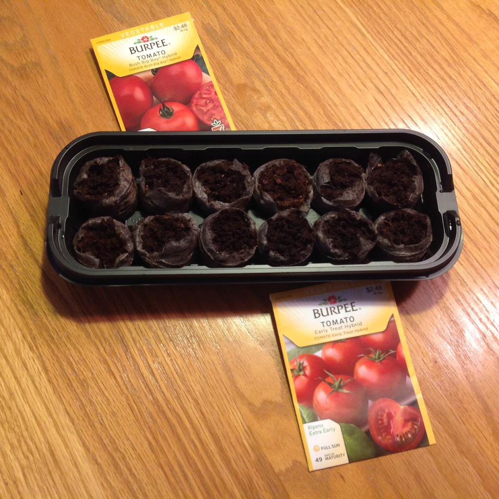 glsslp's tweet image. In anticipation of a summertime #homegrown #tomato. Starting a couple of varieties from seed @BurpeeHG. #widrn