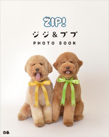 730_hasumi's tweet photo. @impre_member
でし！
ＺＩＰ！
からの～
皆さん今日も大変極寒の中、また北風の中お疲れ様ぞな！
(^o^)／ http://t.co/SwqiGpQJmO