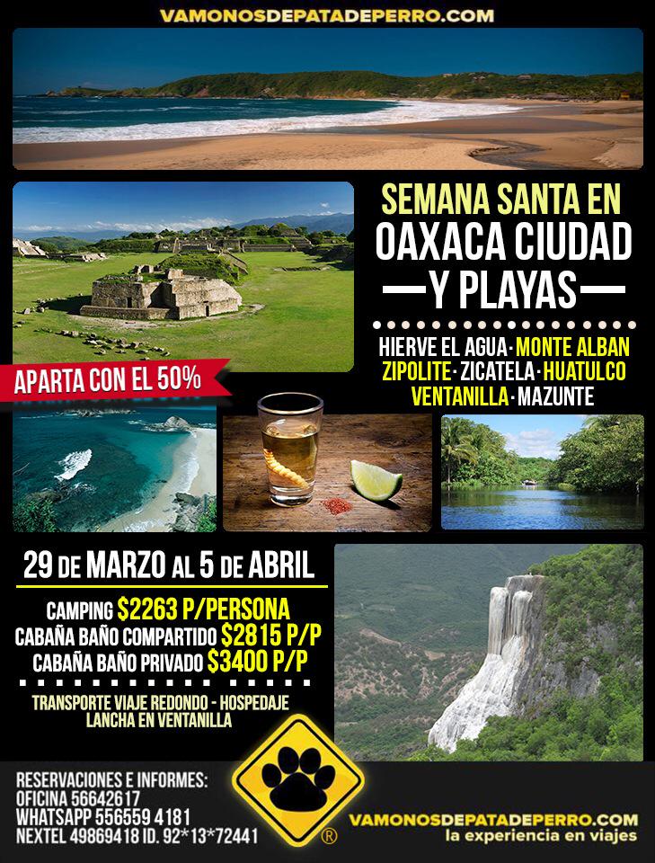vamonosdepatade's tweet image. @ColJacarandas Rt Viaje a Oaxaca 
29 mar-5 abril (ciudad y playas) #huatulco #mazunte #zipolite  etc desde 2263