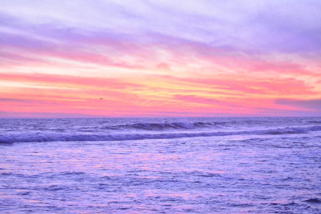 vamonosdepatade's tweet image. @ColJacarandas Rt Viaje a Oaxaca 
29 mar-5 abril (ciudad y playas) #huatulco #mazunte #zipolite  etc desde 2263