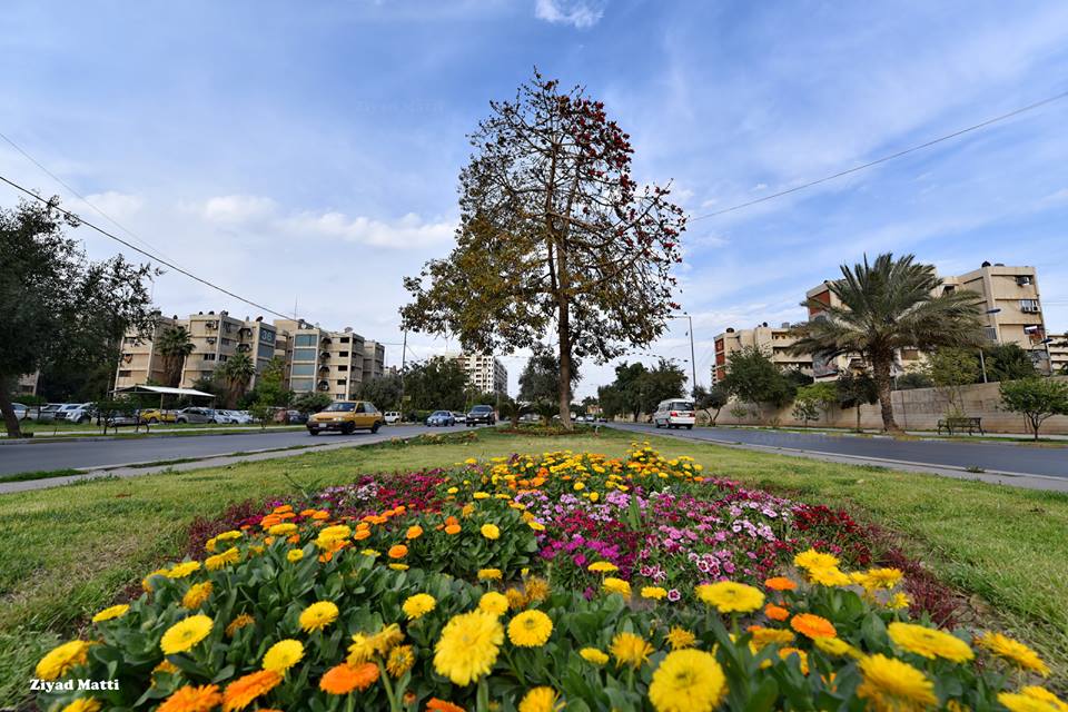 A spring afternoon in Haifa Street, Baghdad 
يوم جميل من شارع حيفا، بغداد 
#Baghdad #Iraq #بغداد #العراق
