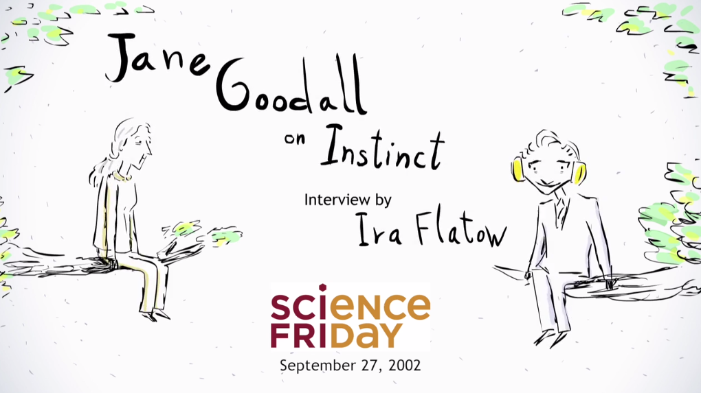 Happy Birthday, Jane Goodall! animated a vintage interview:  