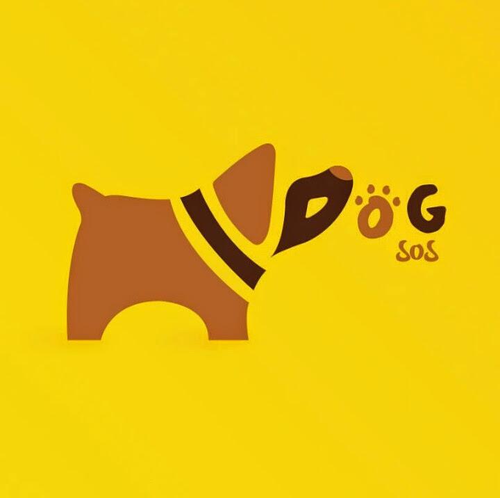 Blondigos's tweet image. Ver el gesto de felicidad al ayudar un perrito de la calle.#Dogsos 
#LoHariaDeNuevo