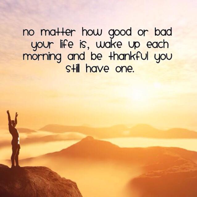 Develop_Daily's tweet image. 