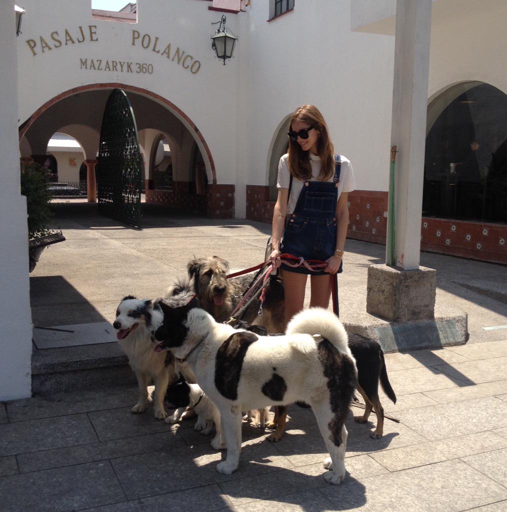 <a href="/ChiaraFerragni/">Chiara Ferragni</a> y su peculiar grupo de amigos en su visita por Av. Masaryk. #CDMX <a href="/GobiernoDF/">Ex-Defeño</a> <a href="/MASARYKCDMX/">Corredor Av. Masaryk</a>