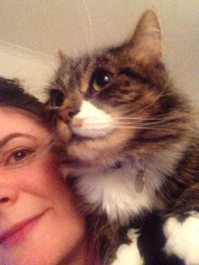 she's definitely cute but not as light as you might imagine #shouldercat #fatcat