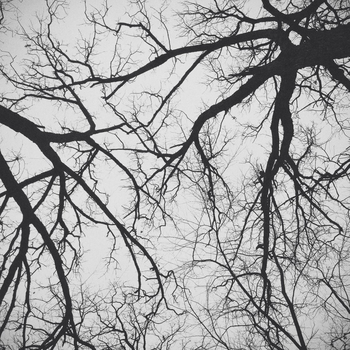 ApolloThe5th's tweet image. #Pluggin new shit #ganggang
soundcloud.com/apollothe5th/r…