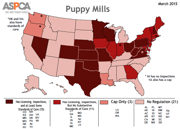 ASPCA's tweet photo. Why are some states havens for #puppymills? http://t.co/Tx5hIEbZj9 #adoptdontshop http://t.co/B9z8aZXXEO