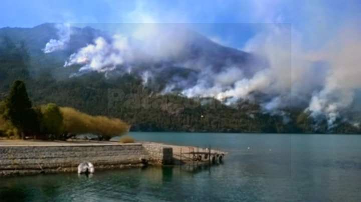 Astrid Penna tweet media