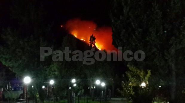 Astrid Penna tweet media