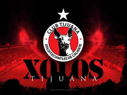 VirginiaAnacle1's tweet photo. Puro xolos http://t.co/2OeLybWTZZ