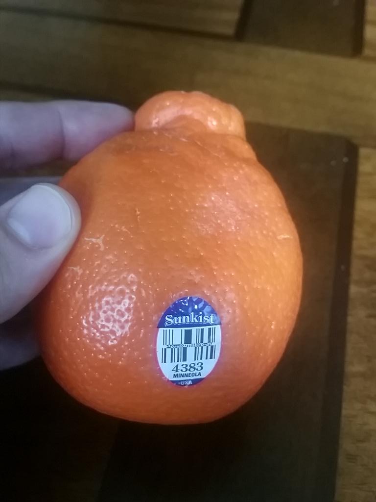 achrisco12's tweet photo. @mathieson_scott  Minneola's my man.  They sell them at TJ's here.  Hope all is well! http://t.co/oMAV95Ctgr