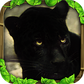Download Panther Simulator APK Free - apkgamescrak.com/panther-simula…  
#apkgames #androidgames