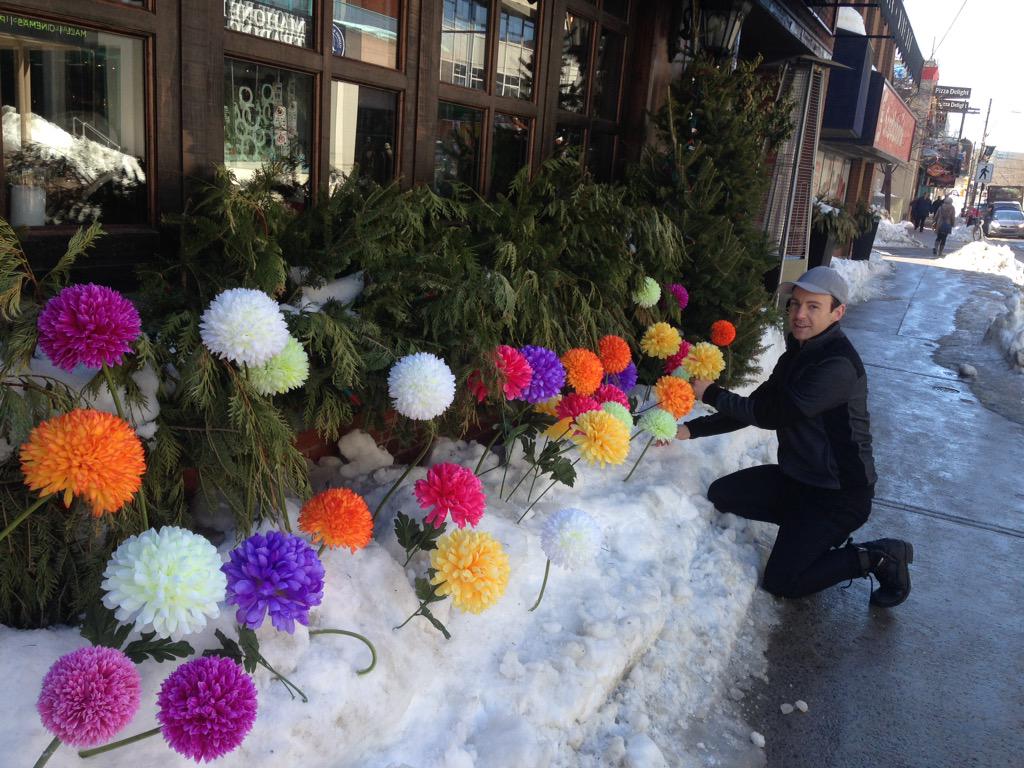 haligonia's tweet photo. RT @LaFrascaHfx: #MotherNature move aside we've sprung #Spring without you @SpringGardenRd @HalifaxReTales @haligonia http://t.co/zfUqFsYEY1