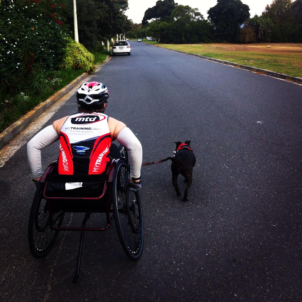 Catherine van Staden tweet media